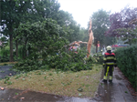 Prio 2 Stormschade Mr Andreaestraat Kollum